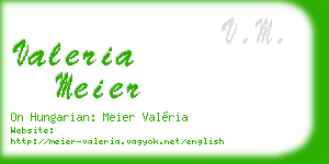 valeria meier business card